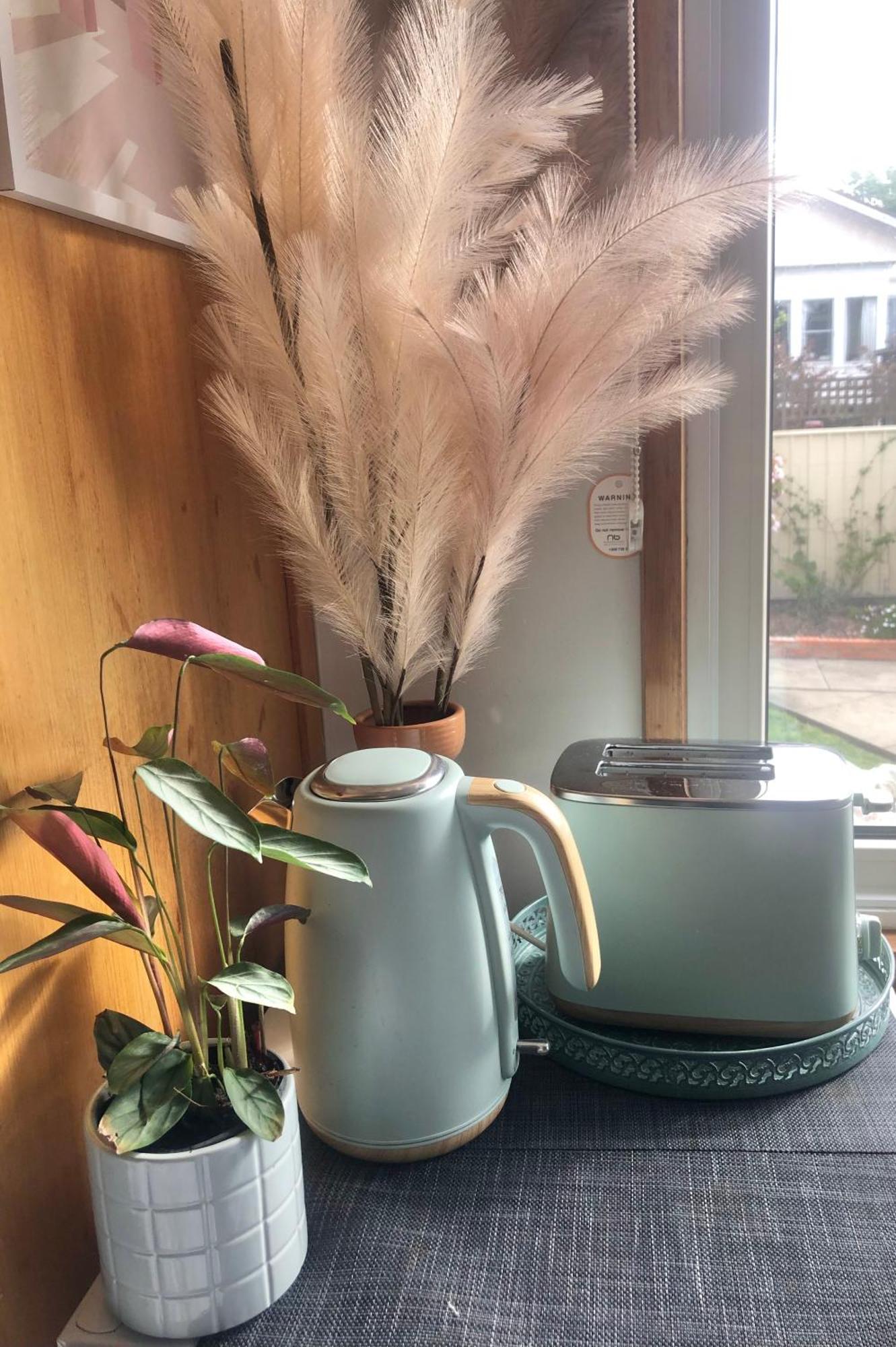Lovely Budget Vegan Homestay Launceston Exteriör bild